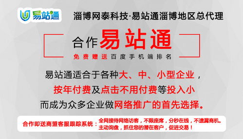 临淄网络推广服务专家 淄博网泰科技引领企业数字化转型