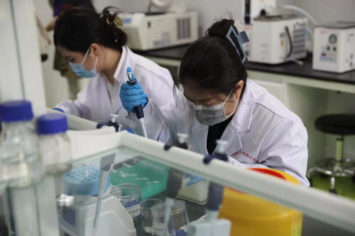 从经验熬制到精准智造 黑龙江中医药大学携手网络技术咨询服务开启智慧转型